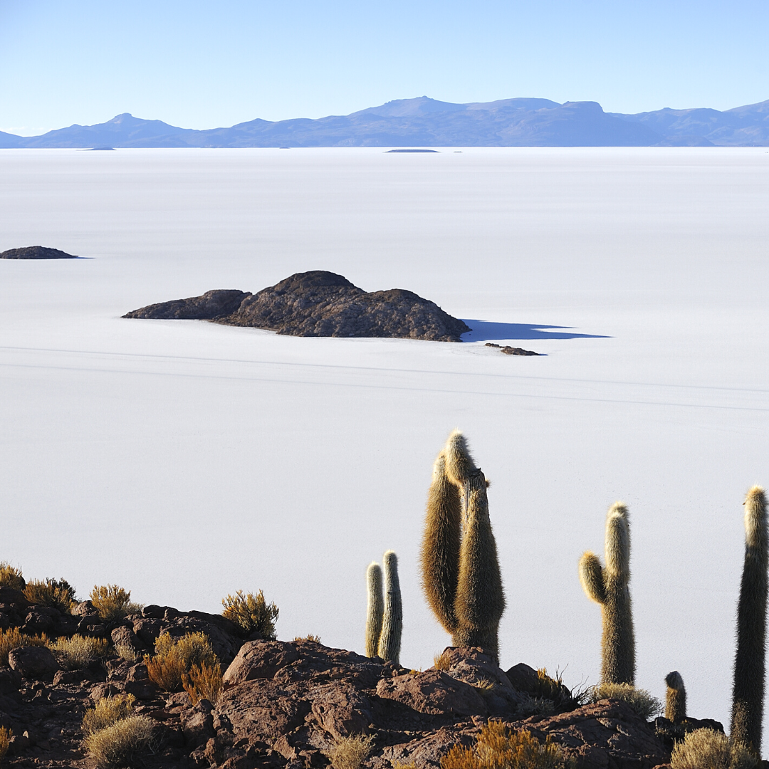 Atacama in Argentinien