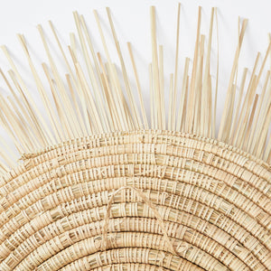 Back side sun plate with suspension.