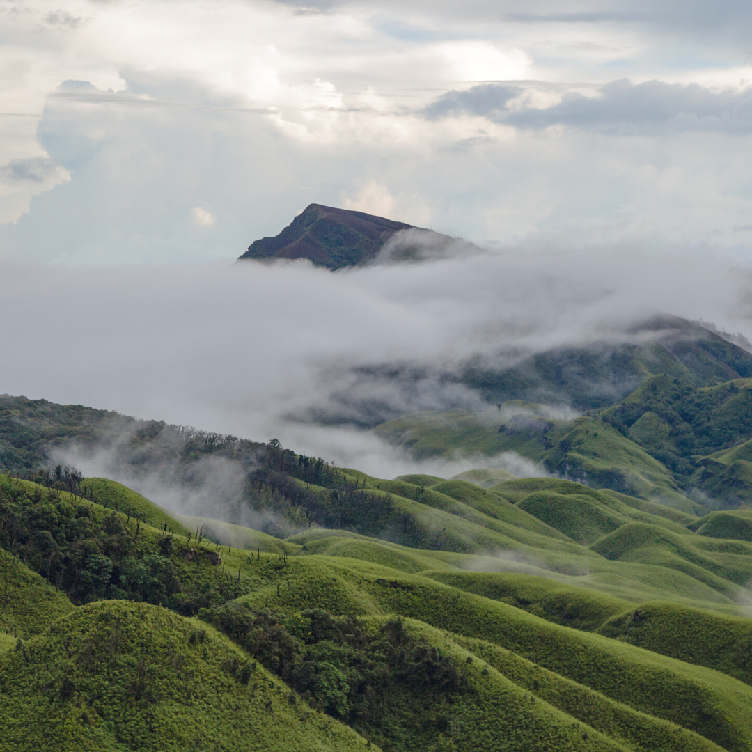 Landscape in Nagaland - By Native