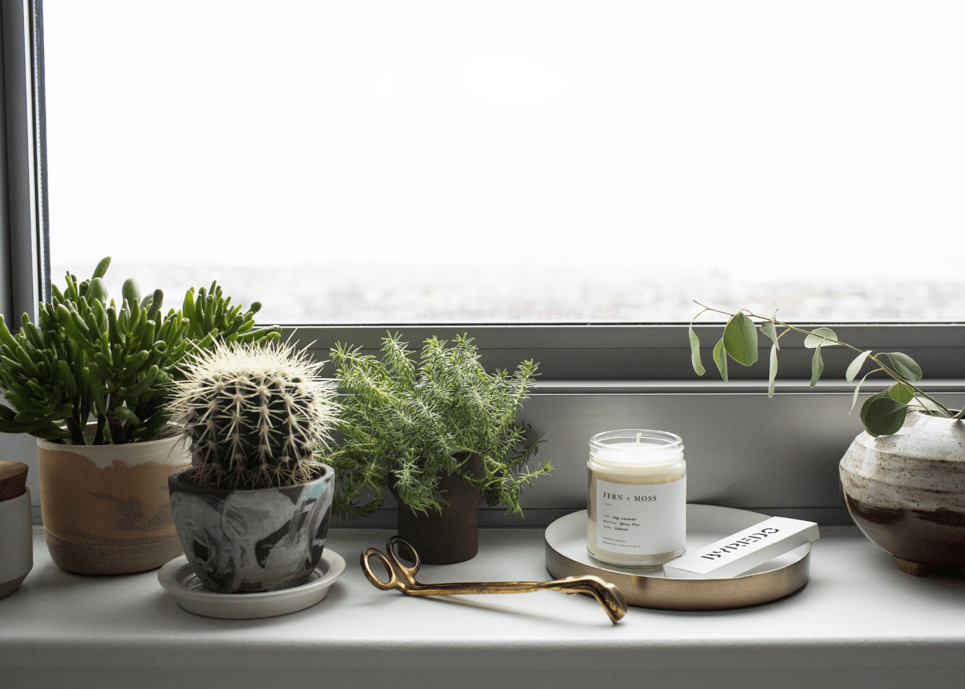 Brooklyn Candle Studio Duftkerze Fern + Moss Moodfoto mit Pflanzen auf Fensterbank. Handgegossen aus 100% Sojawachs.
